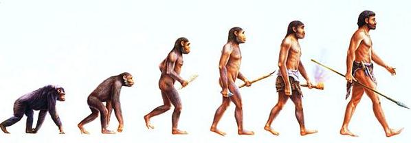 Evolução da espécie humana.